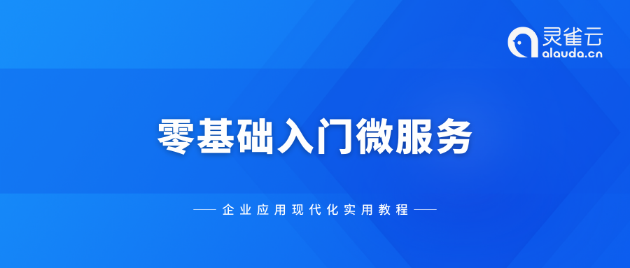 企业应用现代化实用教程 | 微服务架构怎么选？Dubbo、Spring Cloud、Istio终极对决